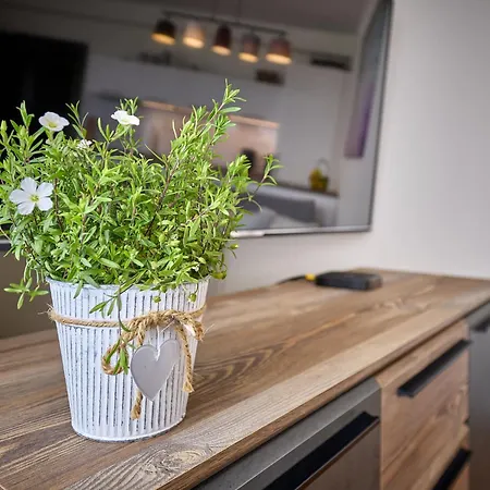 Horni Misecky By Interhome Apartman